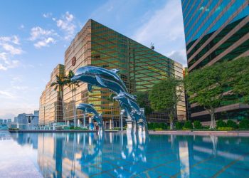 Top Hotel Chains with the Best Loyalty Programs