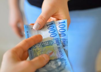 Top Business Loan Options for Small Businesses