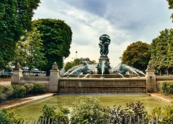 Essential Tools Every Homeowner Needs for Outdoor Maintenance