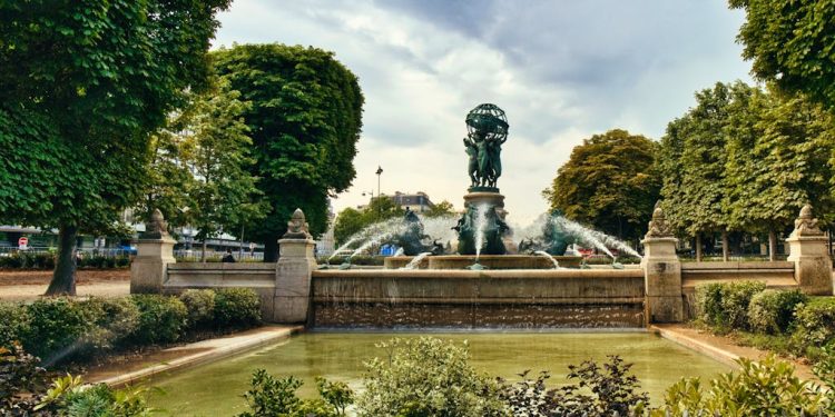 Essential Tools Every Homeowner Needs for Outdoor Maintenance